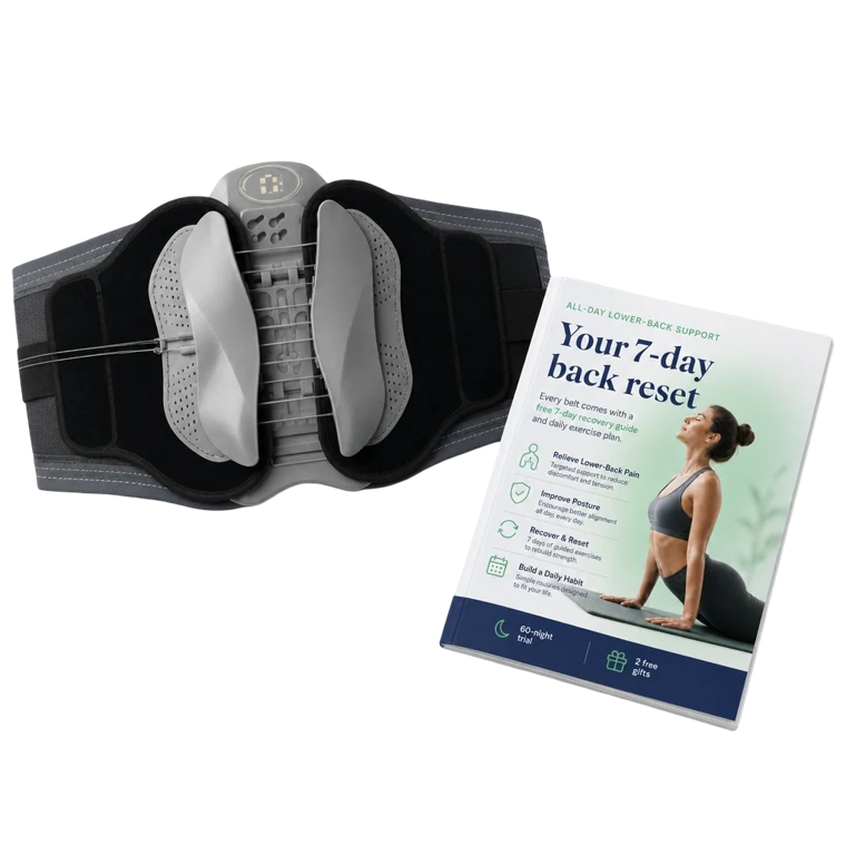 Lumbra Standard: belt and recovery guide